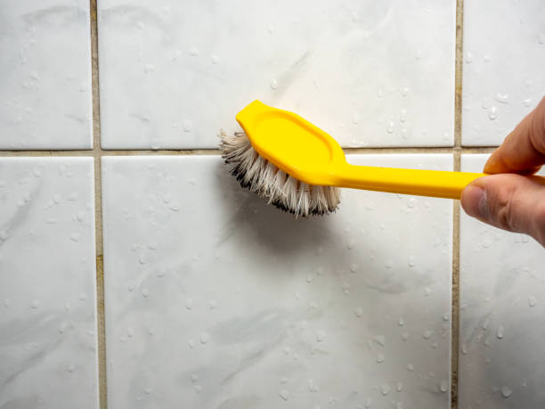 Best Mold Removal Process  in Sarasota, FL