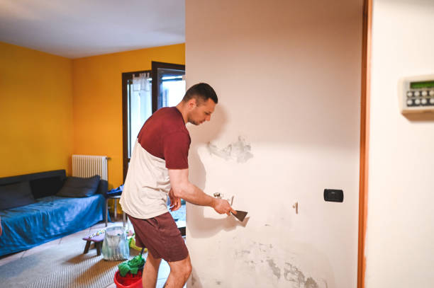 Office Mold Removal Services in Sarasota, FL