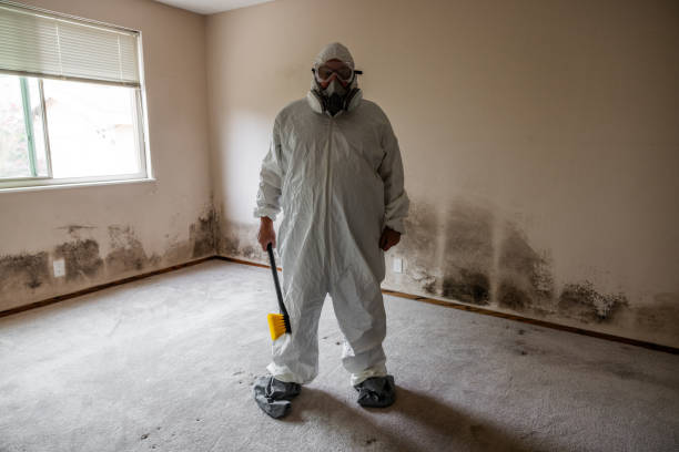 Best Crawl Space Mold Removal  in Sarasota, FL